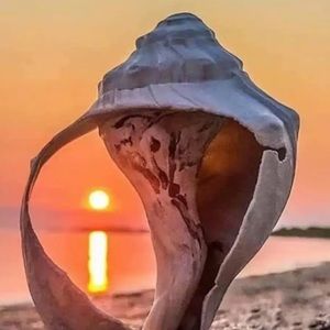 Meet your Posher, Debra